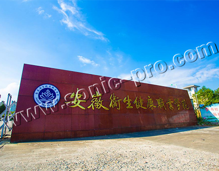 安徽卫生健康职业技术学院多功能厅